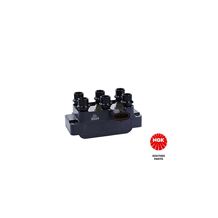 Ritė, uždegimas NGK 48110