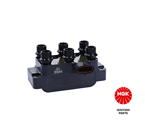 Ritė, uždegimas NGK 48110