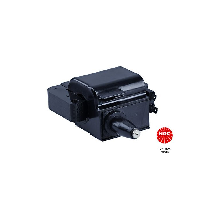 Ritė, uždegimas NGK 48111