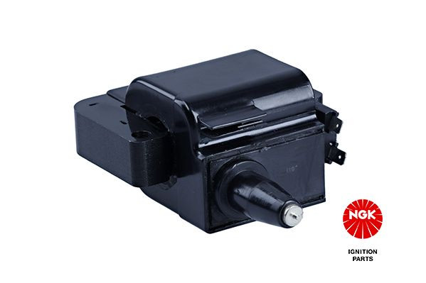 Ritė, uždegimas NGK 48111
