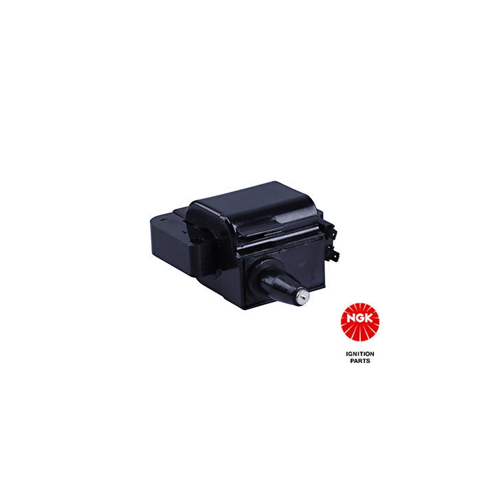 Ritė, uždegimas NGK 48111