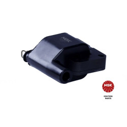 Ritė, uždegimas NGK 48112