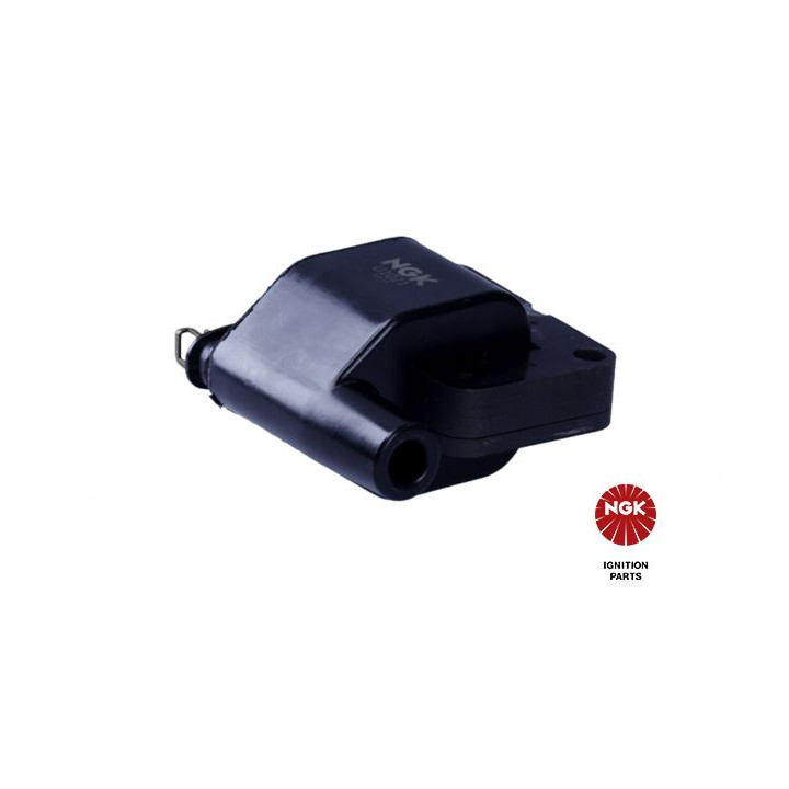 Ritė, uždegimas NGK 48112