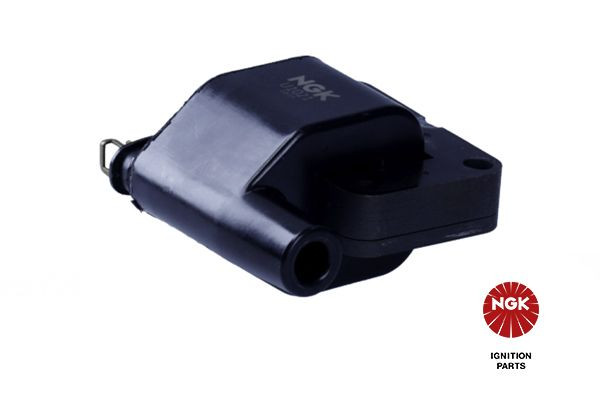 Ritė, uždegimas NGK 48112