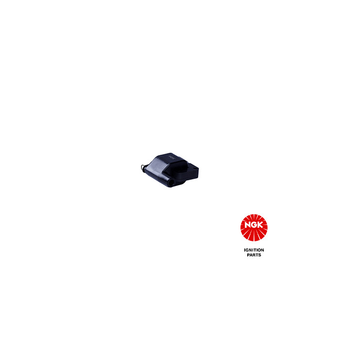 Ritė, uždegimas NGK 48112