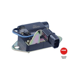 Ritė, uždegimas NGK 48113