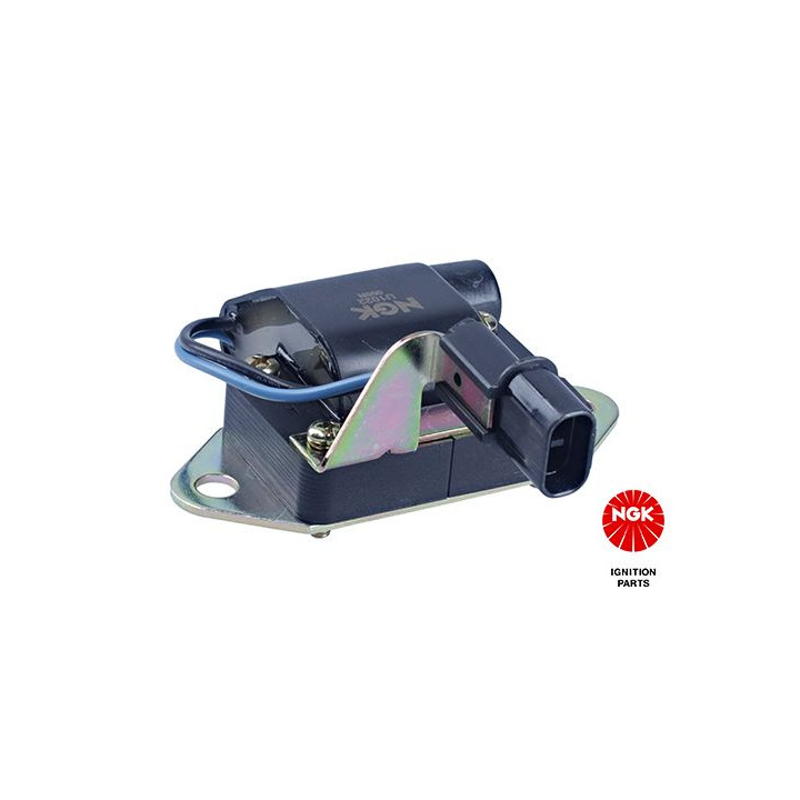 Ritė, uždegimas NGK 48113