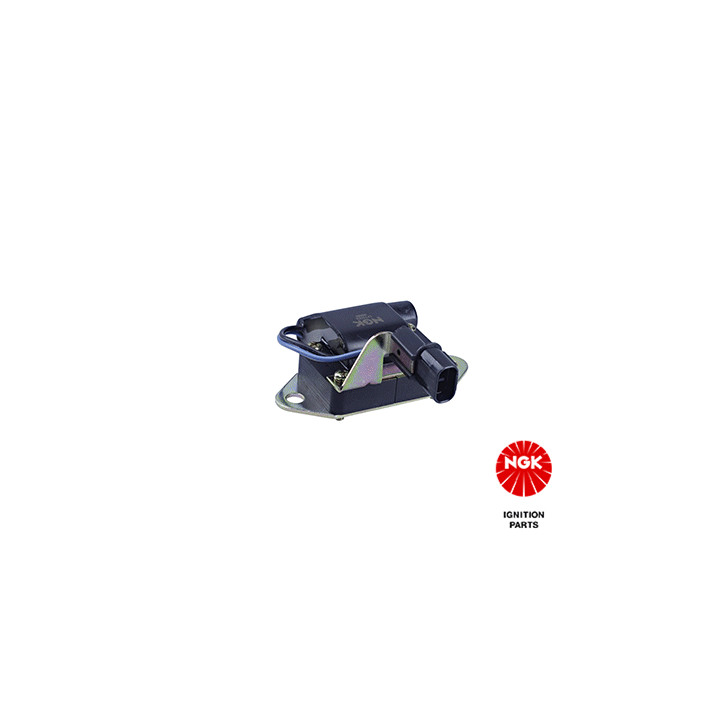 Ritė, uždegimas NGK 48113