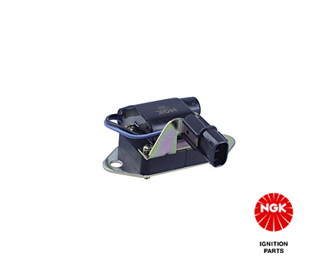 Ritė, uždegimas NGK 48113