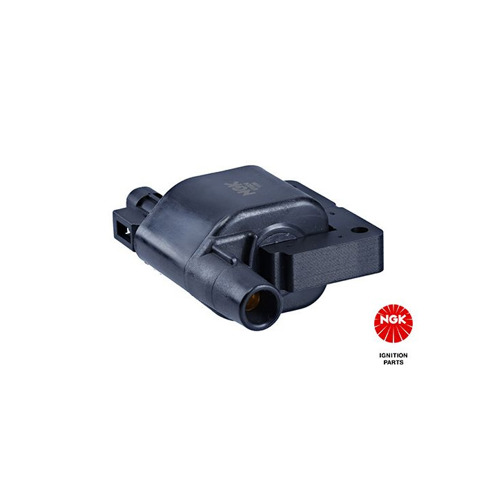 Ritė, uždegimas NGK 48117