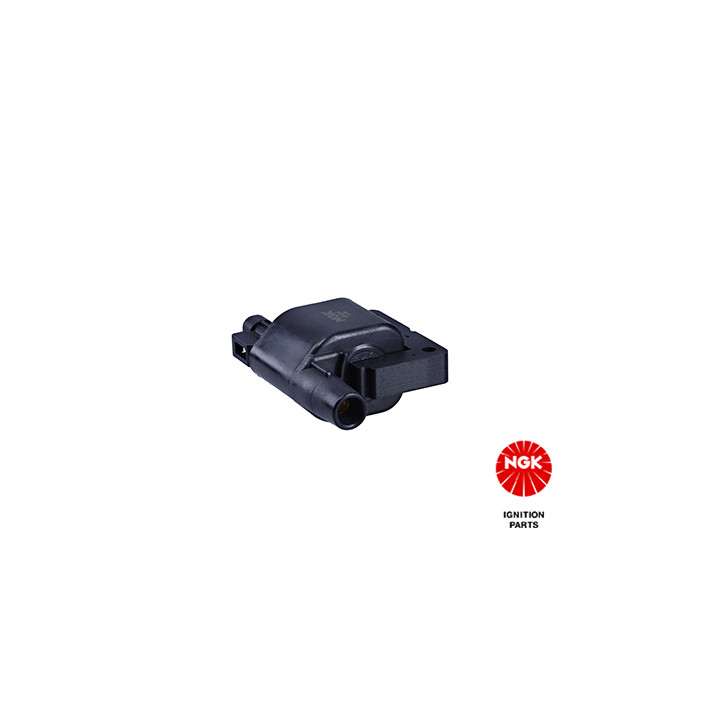 Ritė, uždegimas NGK 48117