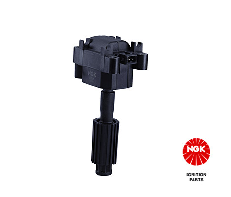 Ritė, uždegimas NGK 48119