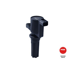 Ritė, uždegimas NGK 48120