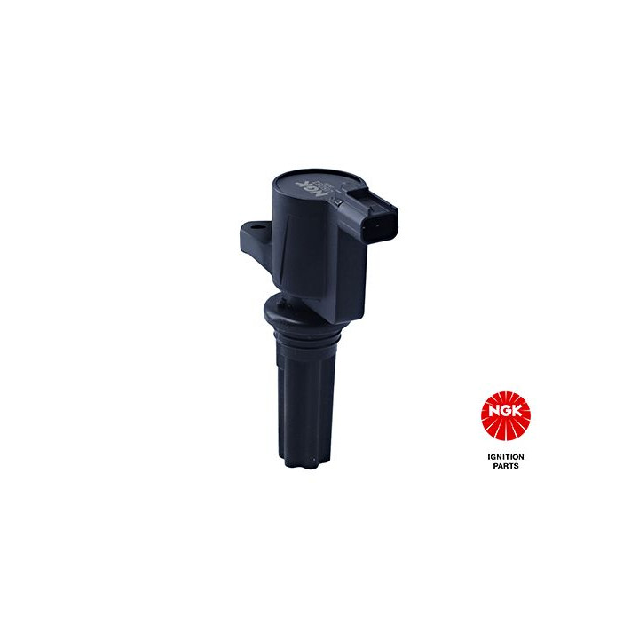 Ritė, uždegimas NGK 48120