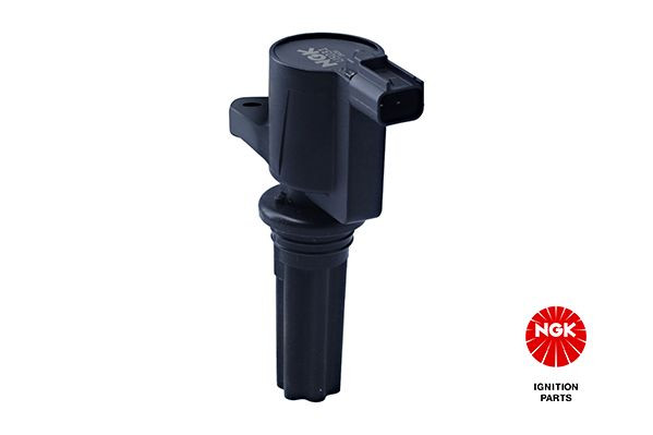 Ritė, uždegimas NGK 48120