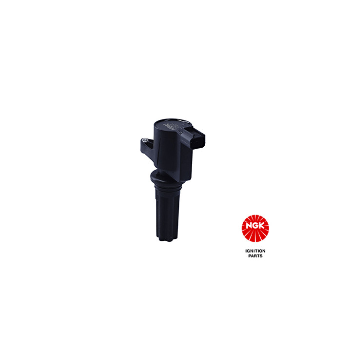 Ritė, uždegimas NGK 48120