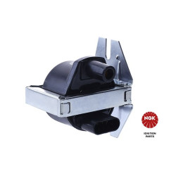 Ritė, uždegimas NGK 48121