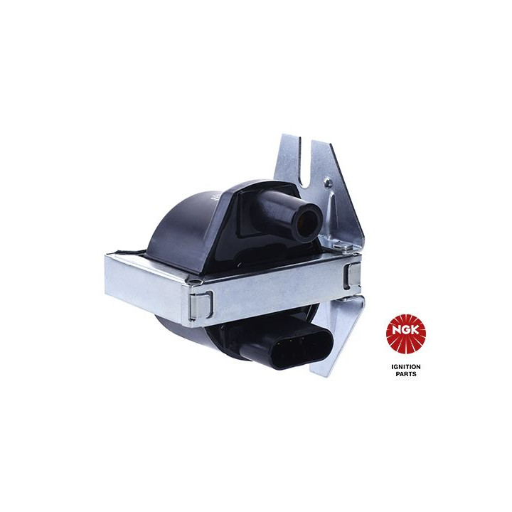 Ritė, uždegimas NGK 48121