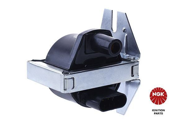 Ritė, uždegimas NGK 48121