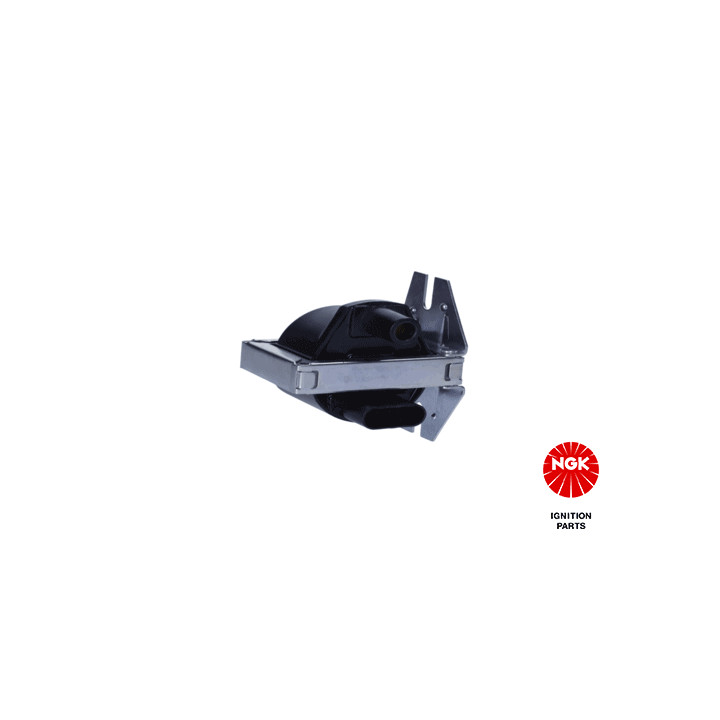 Ritė, uždegimas NGK 48121