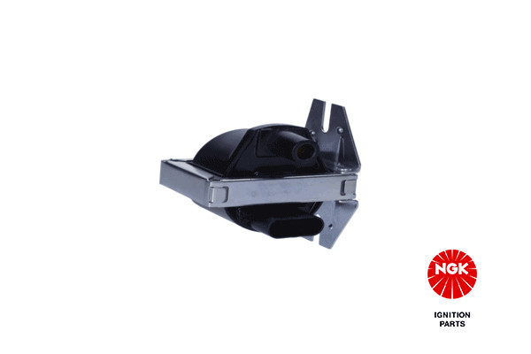 Ritė, uždegimas NGK 48121