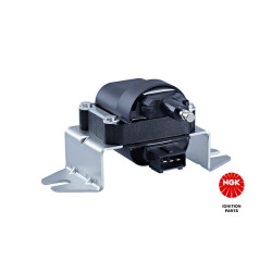 Ritė, uždegimas NGK 48123