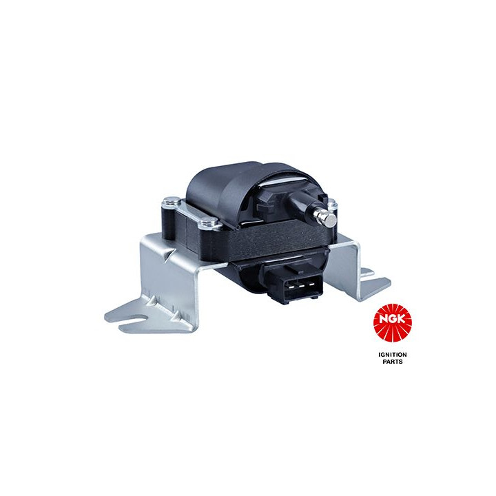 Ritė, uždegimas NGK 48123