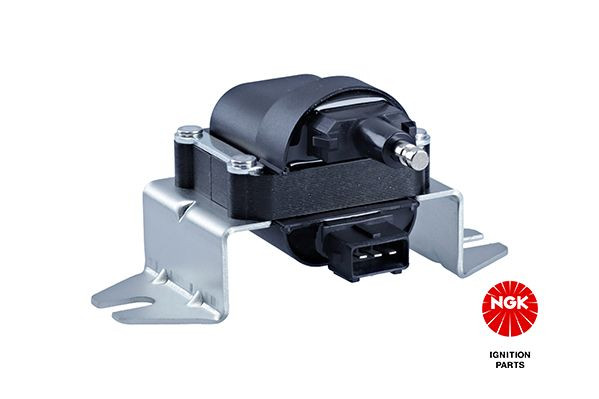 Ritė, uždegimas NGK 48123