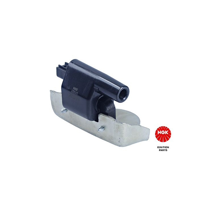 Ritė, uždegimas NGK 48125