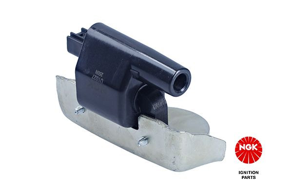 Ritė, uždegimas NGK 48125