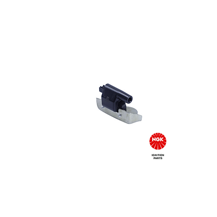 Ritė, uždegimas NGK 48125