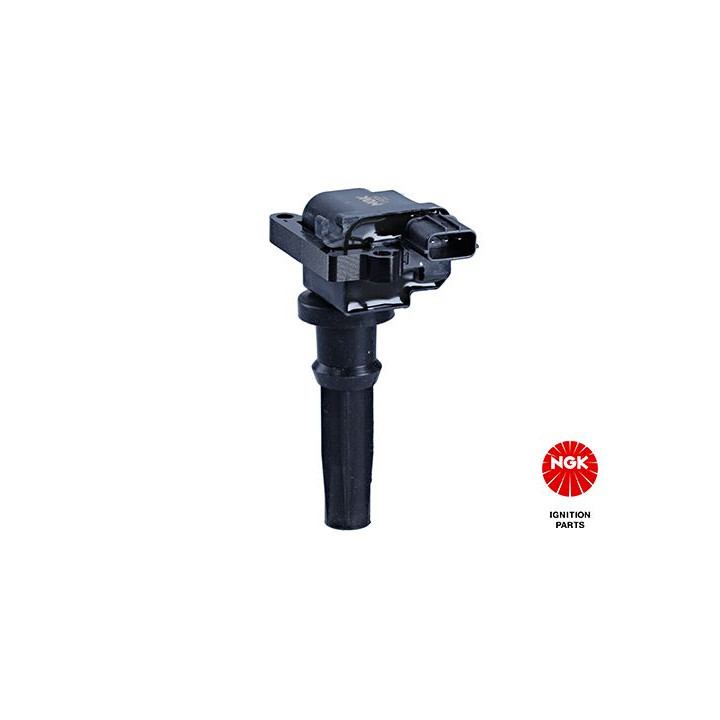 Ritė, uždegimas NGK 48134