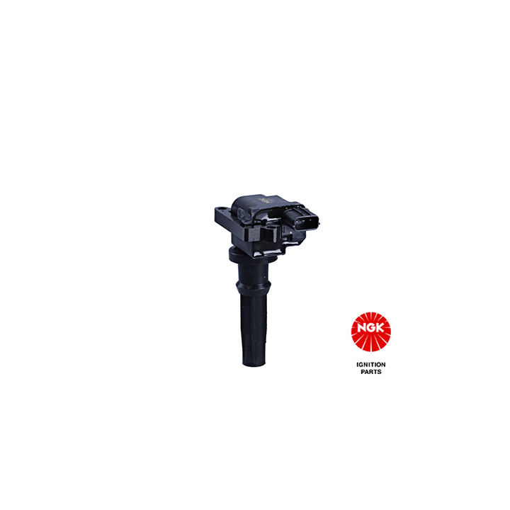 Ritė, uždegimas NGK 48134