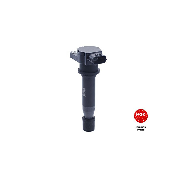 Ritė, uždegimas NGK 48136