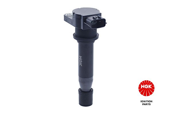 Ritė, uždegimas NGK 48136