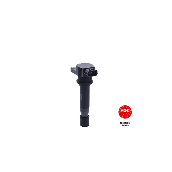 Ritė, uždegimas NGK 48136