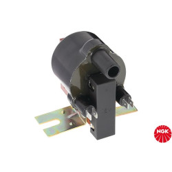 Ritė, uždegimas NGK 48137