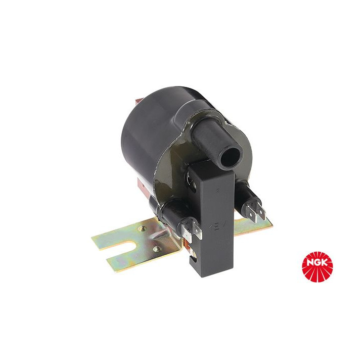 Ritė, uždegimas NGK 48137