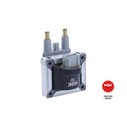 Ritė, uždegimas NGK 48138