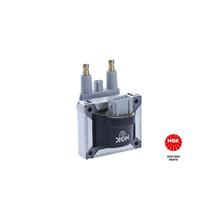 Ritė, uždegimas NGK 48138