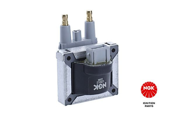 Ritė, uždegimas NGK 48138