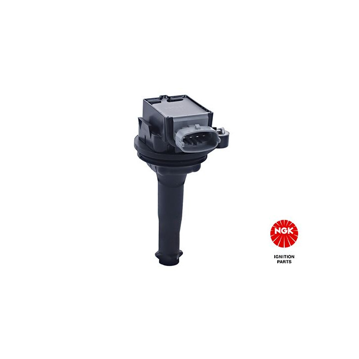 Ritė, uždegimas NGK 48140