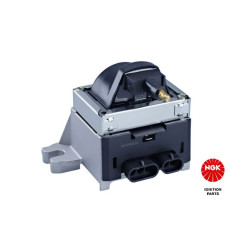 Ritė, uždegimas NGK 48143