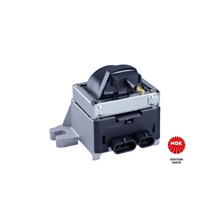 Ritė, uždegimas NGK 48143