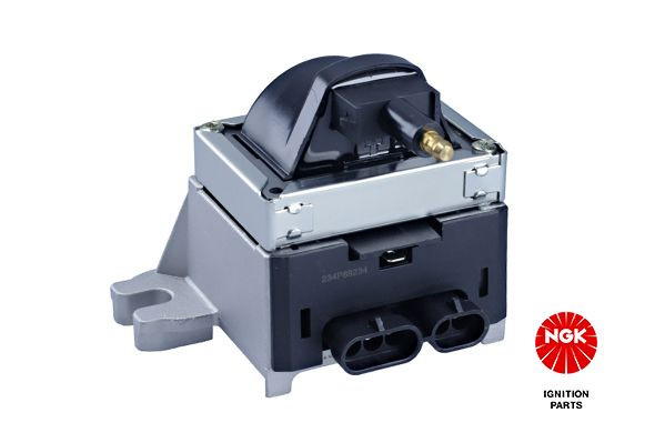 Ritė, uždegimas NGK 48143