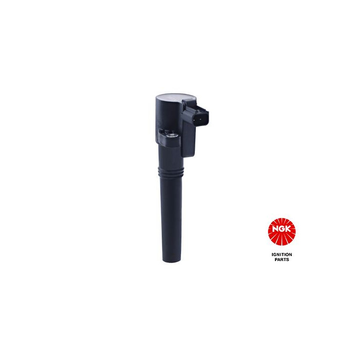 Ritė, uždegimas NGK 48144