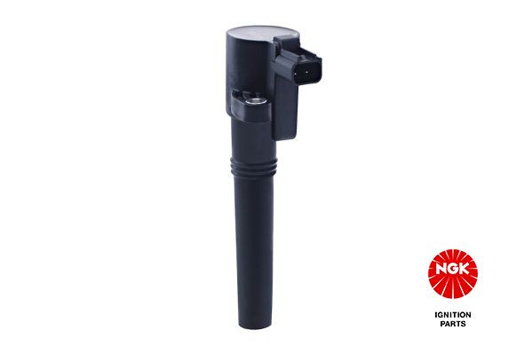 Ritė, uždegimas NGK 48144