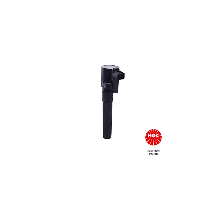 Ritė, uždegimas NGK 48144