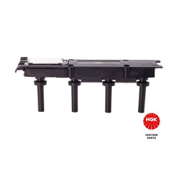 Ritė, uždegimas NGK 48146