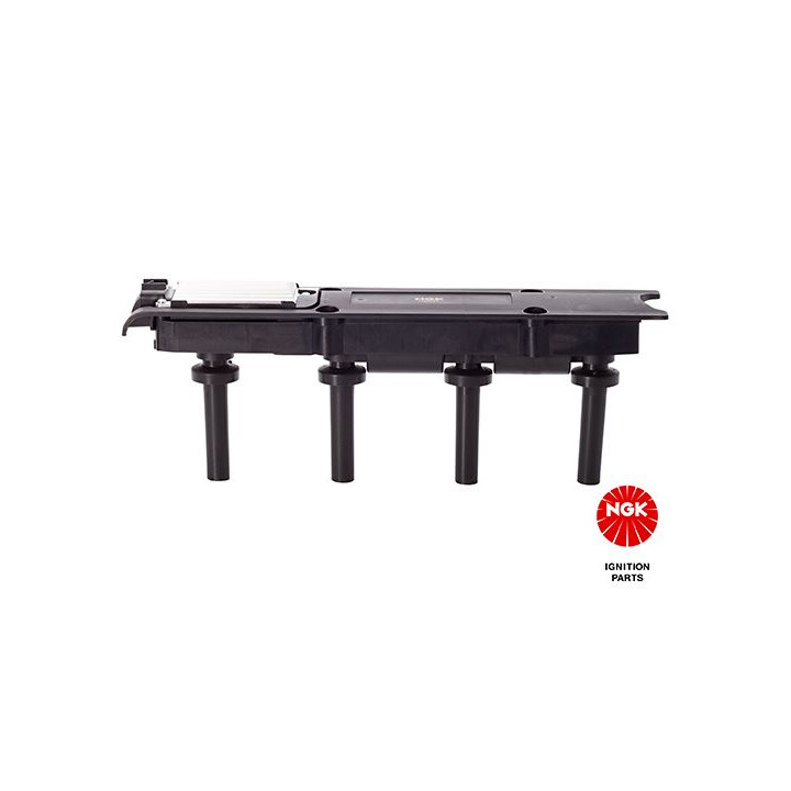 Ritė, uždegimas NGK 48146